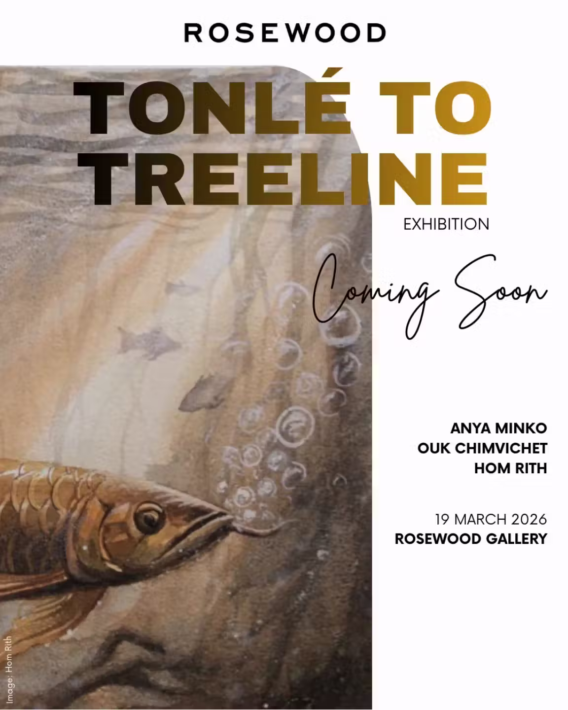 Image Tonlé to treeline